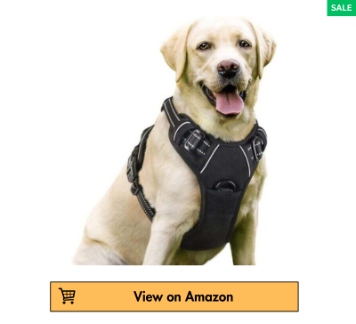 The Best Dog Harness 