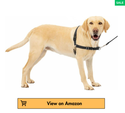 The Best Dog Harness 