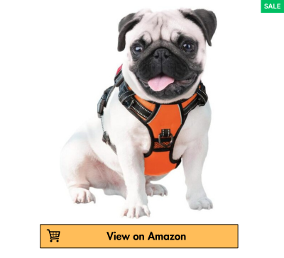 The Best Dog Harness 