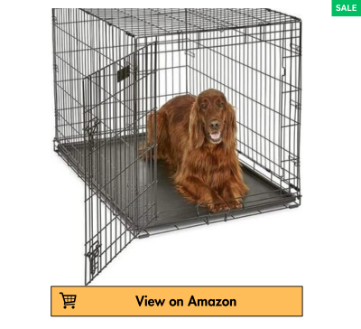 best dog crates 