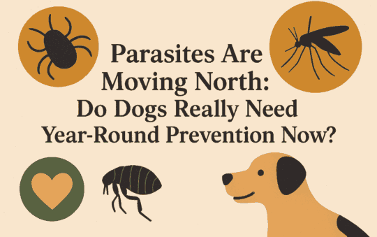 Parasites Are Moving North: Do Dogs Really Need Year-Round Prevention Now?