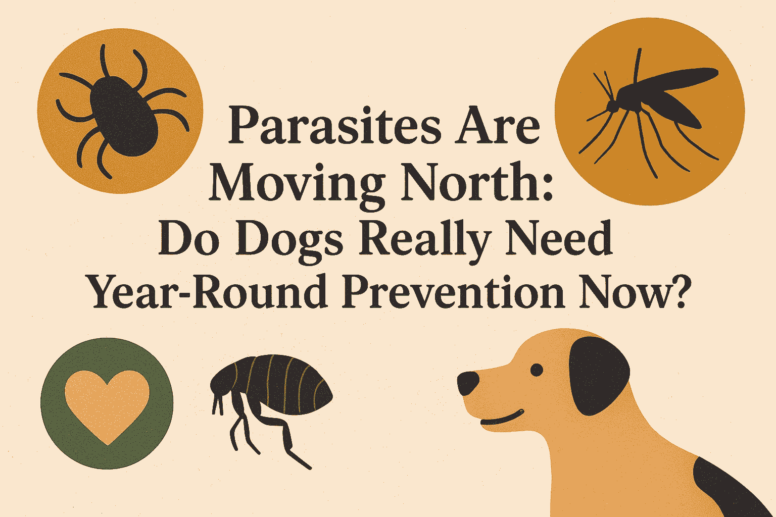 Parasites Are Moving North: Do Dogs Really Need Year-Round Prevention Now?