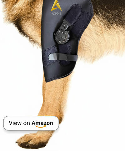 Best Dog Elbow Braces