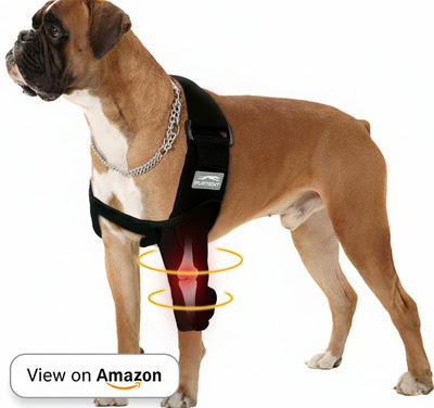 Best Dog Elbow Braces