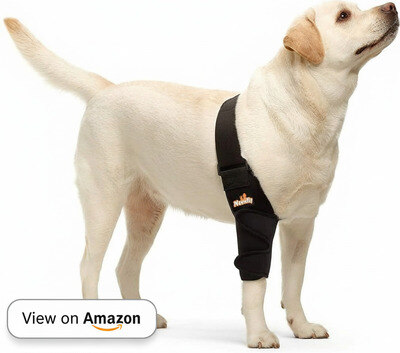Best Dog Elbow Braces