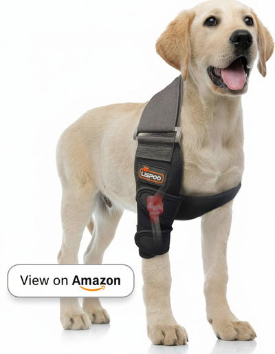 Best Dog Elbow Braces