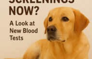 Can Dogs Get Cancer Screenings Now? A Look at New Blood Tests