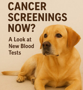 Can Dogs Get Cancer Screenings Now? A Look at New Blood Tests