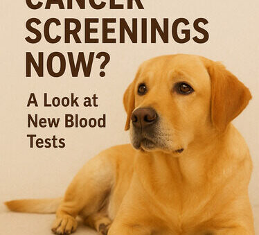 Can Dogs Get Cancer Screenings Now? A Look at New Blood Tests