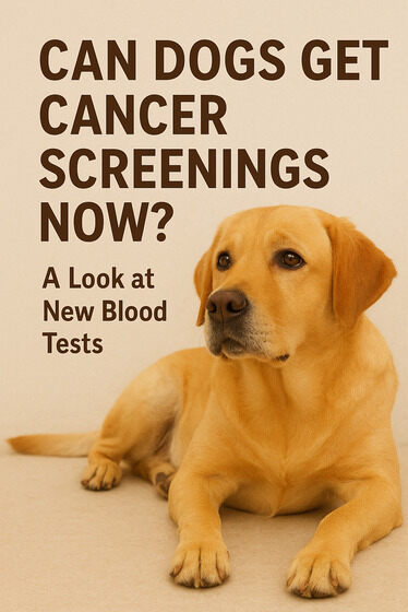 Can Dogs Get Cancer Screenings Now? A Look at New Blood Tests